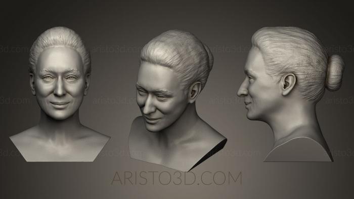 Busts and bas-reliefs of famous people (BUSTC_0419) 3D model for CNC machine